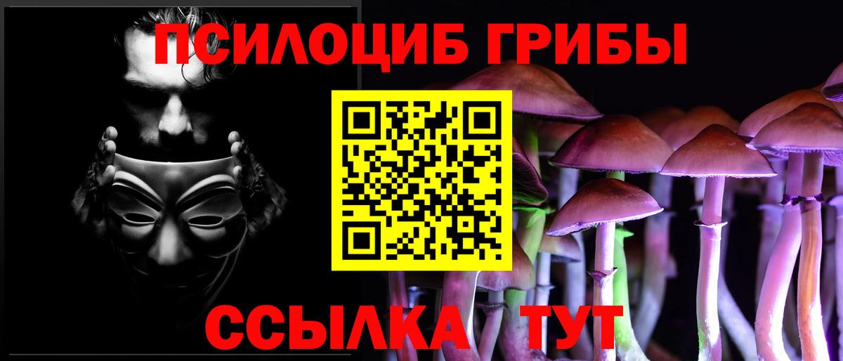 Псилоцибиновые грибы ЛСД  Вход с VPN  Псилоцибиновые грибы мухоморы  купить   Рузаевка 